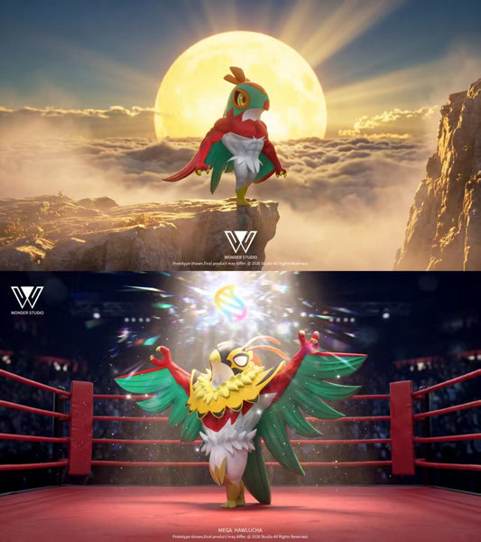 Wonder - Hawlucha