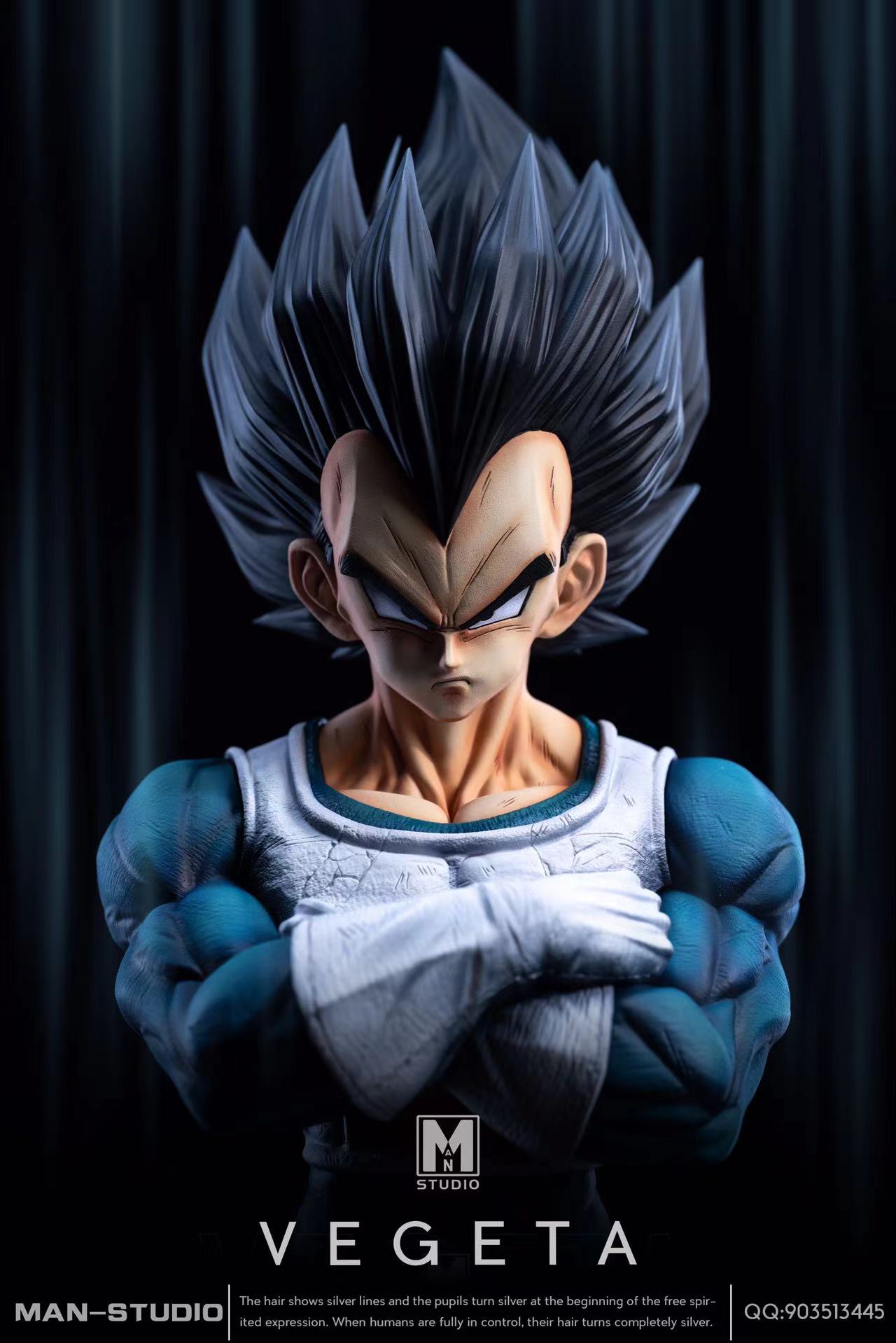 MAN - Vegeta - Dragon Ball