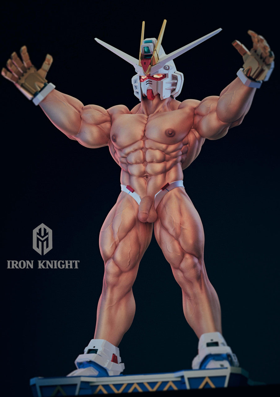 Iron Knight - Freedom Fighter