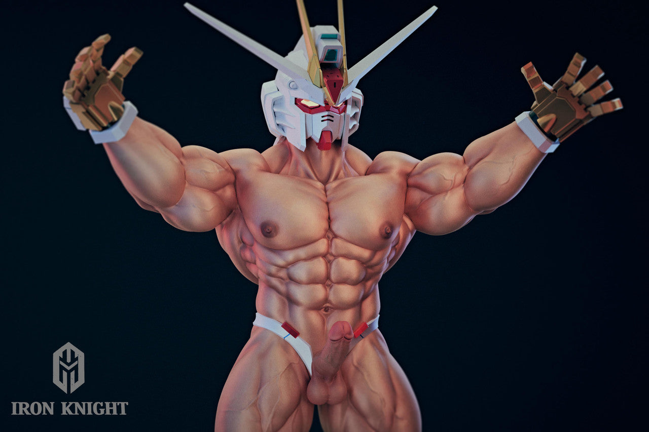 Iron Knight - Freedom Fighter