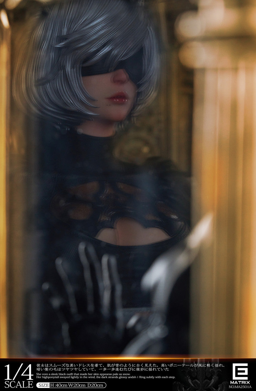 Matrix - 2B