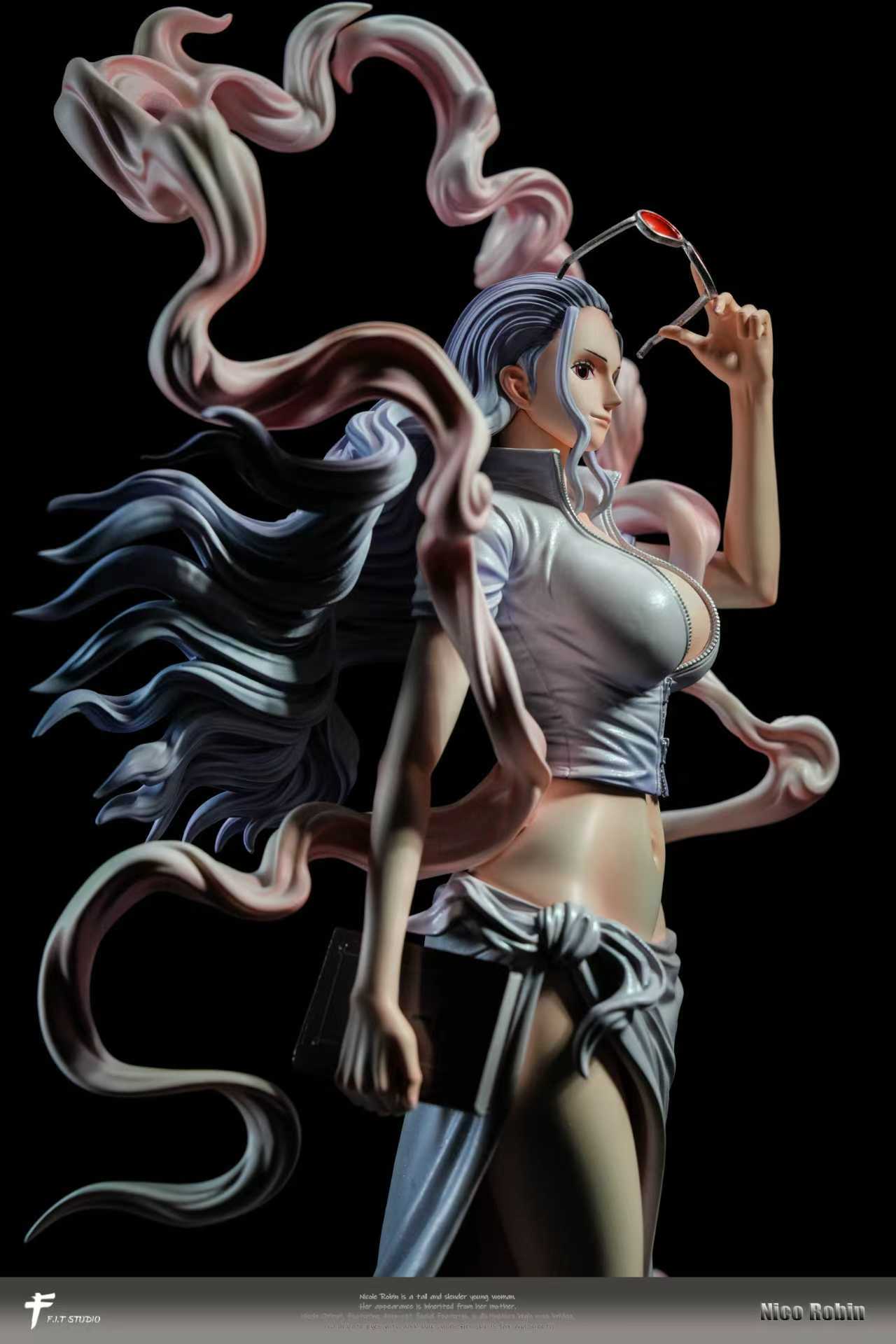 FIT - Nika Nico Robin