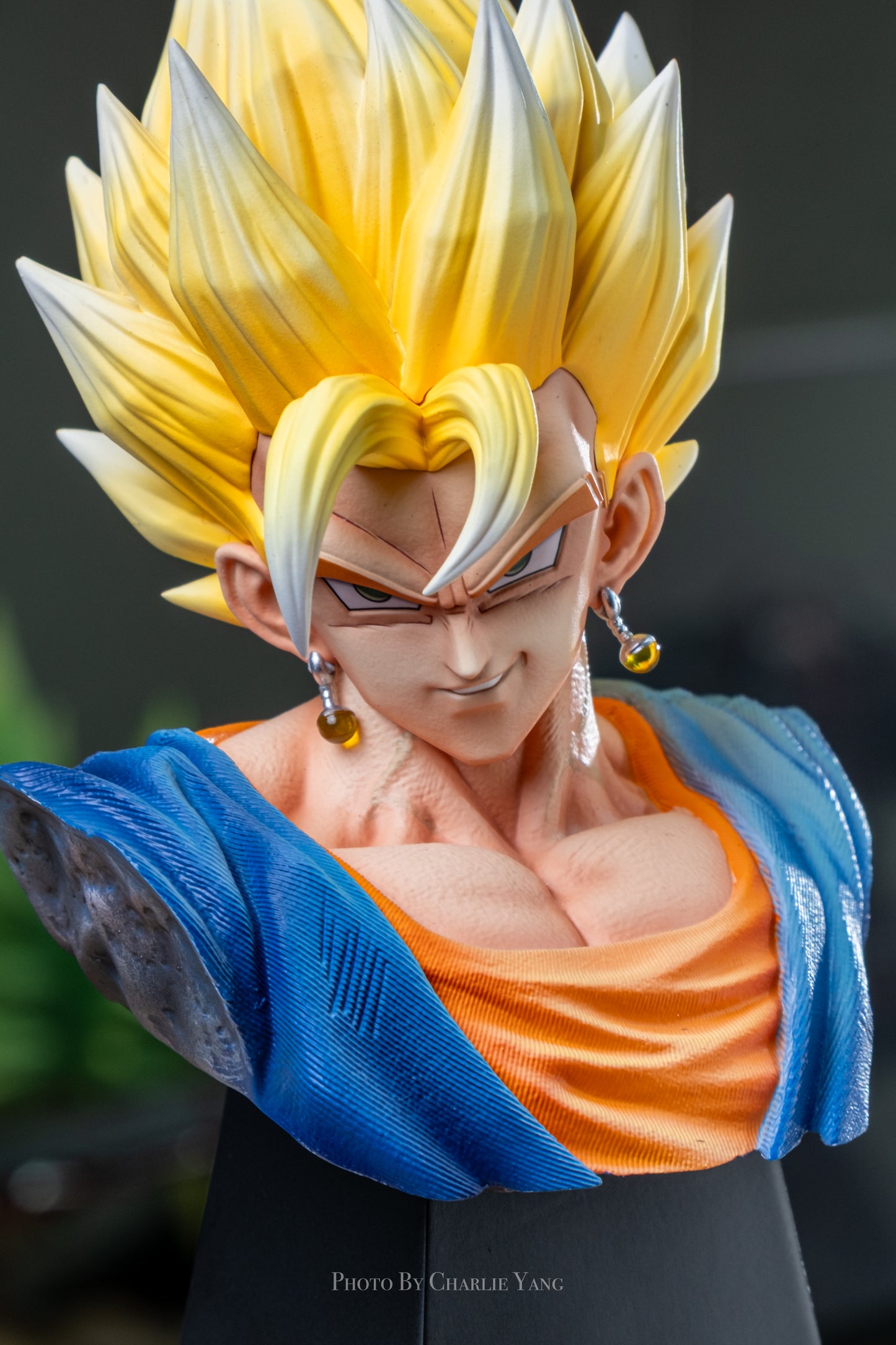 KAW - Vegito