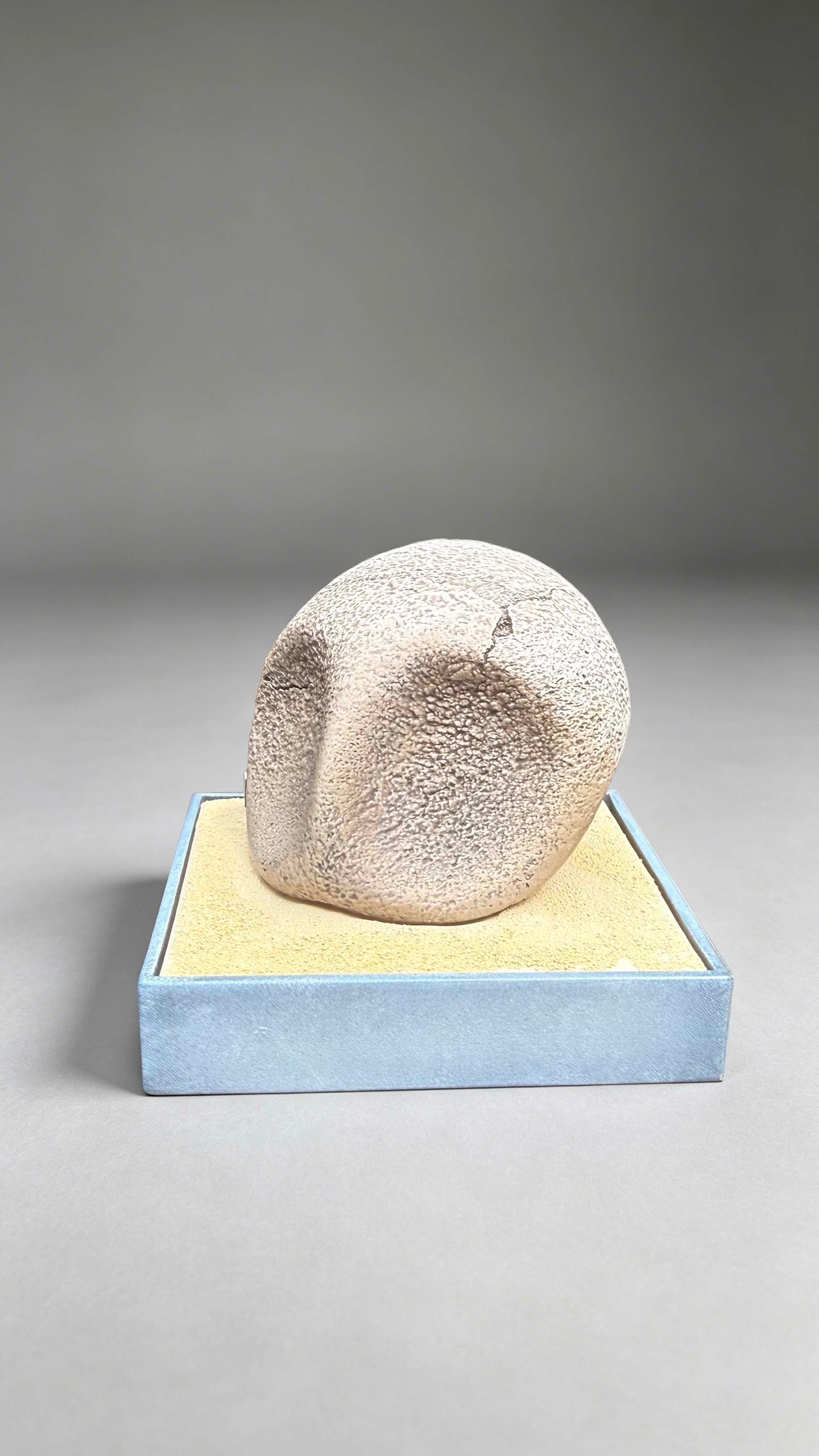 Miumiu - Kabutops and Kabuto Fossils