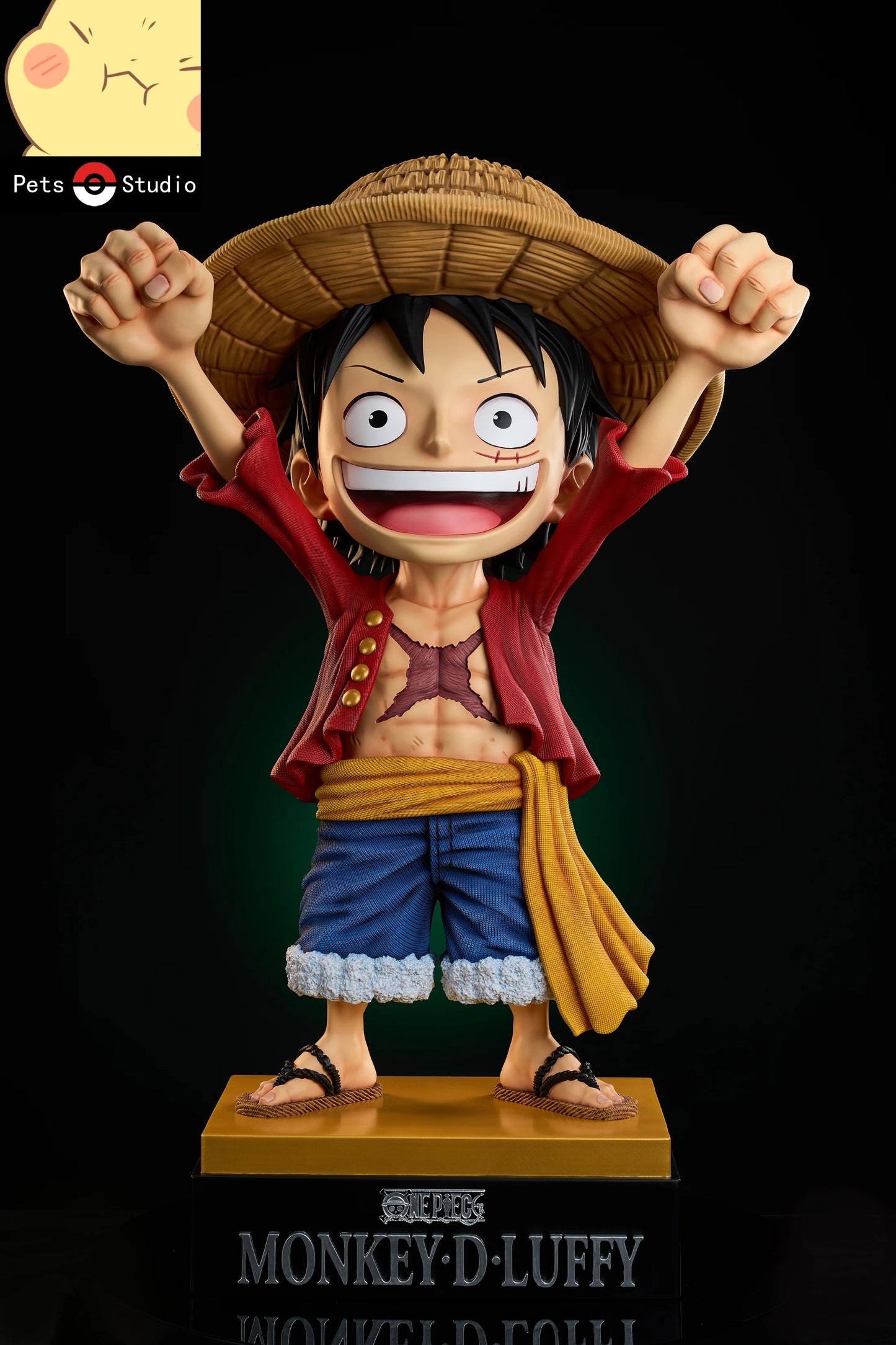 Pets - Luffy