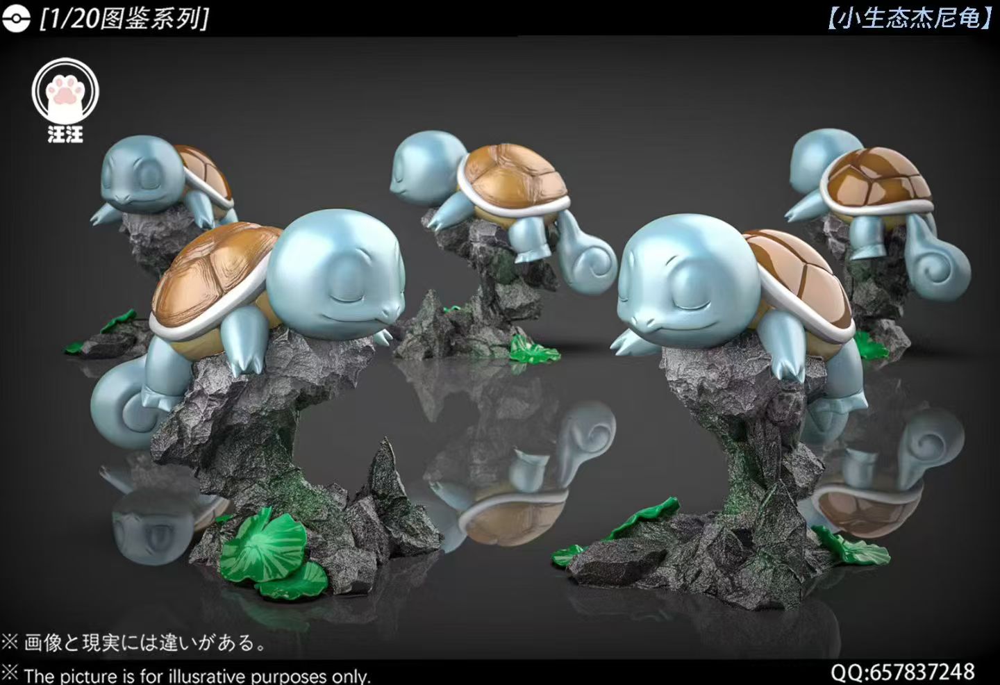 Wang Wang - Blastoise