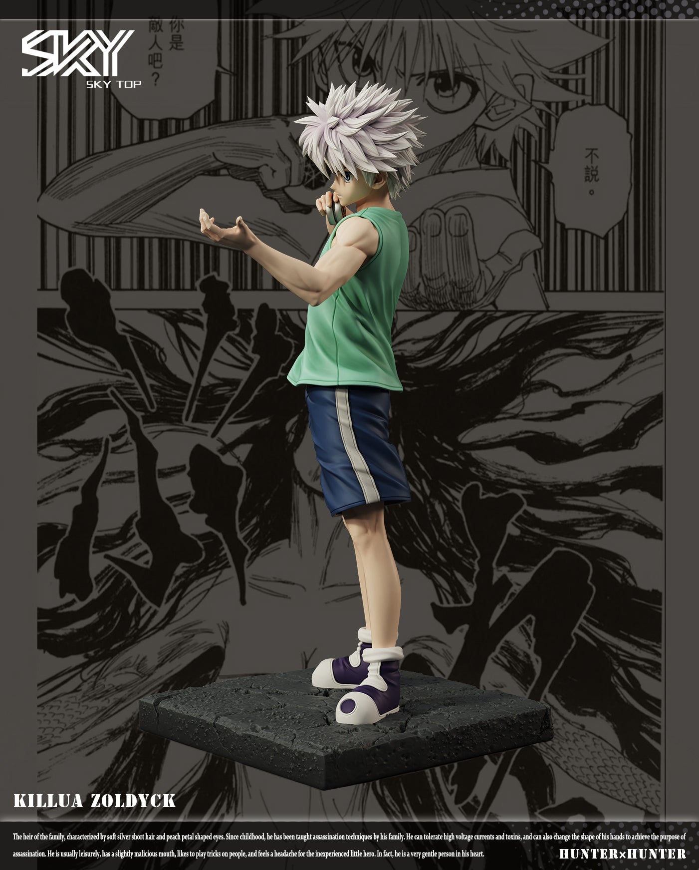 Sky Top - Killua