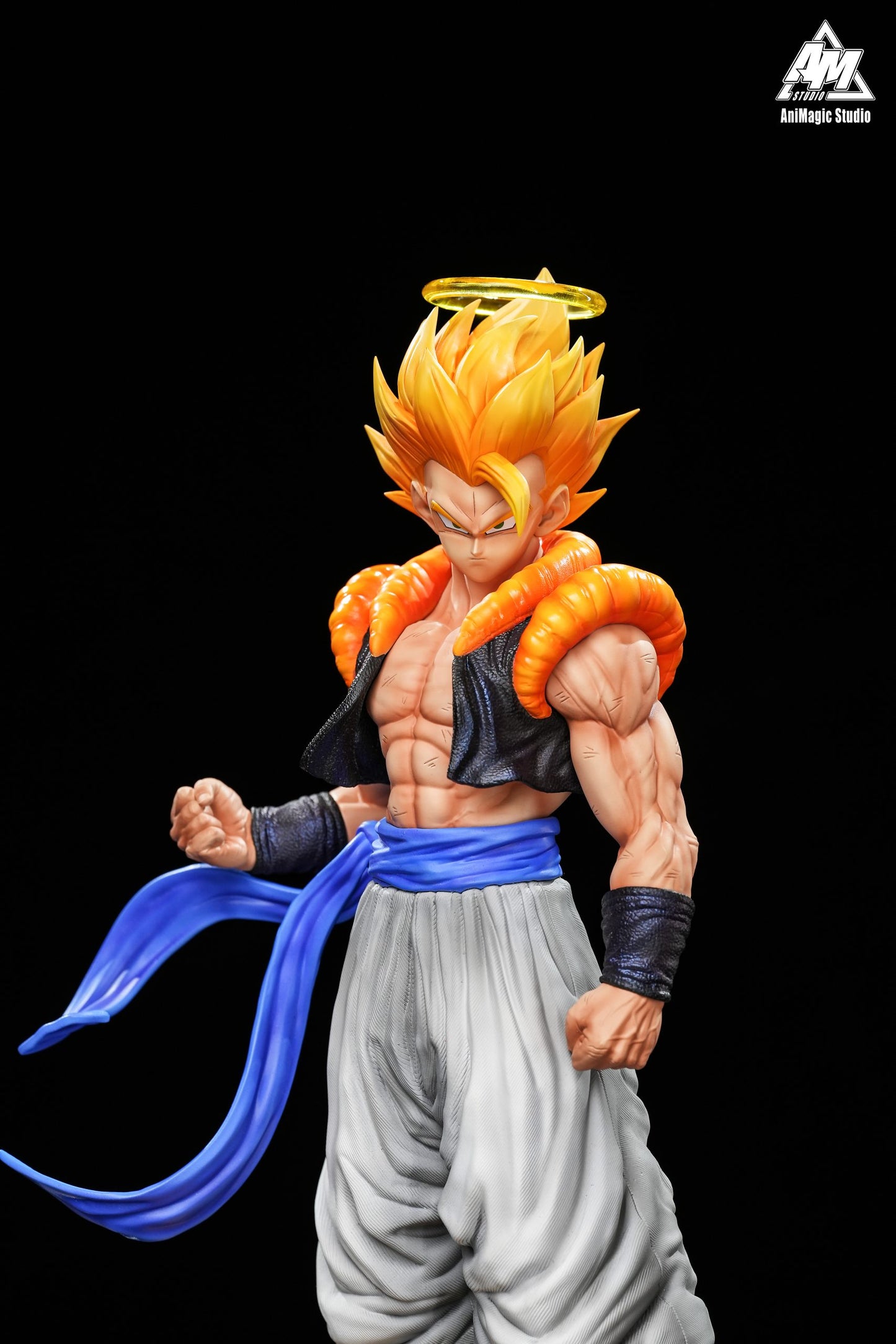 Animagic - Gogeta