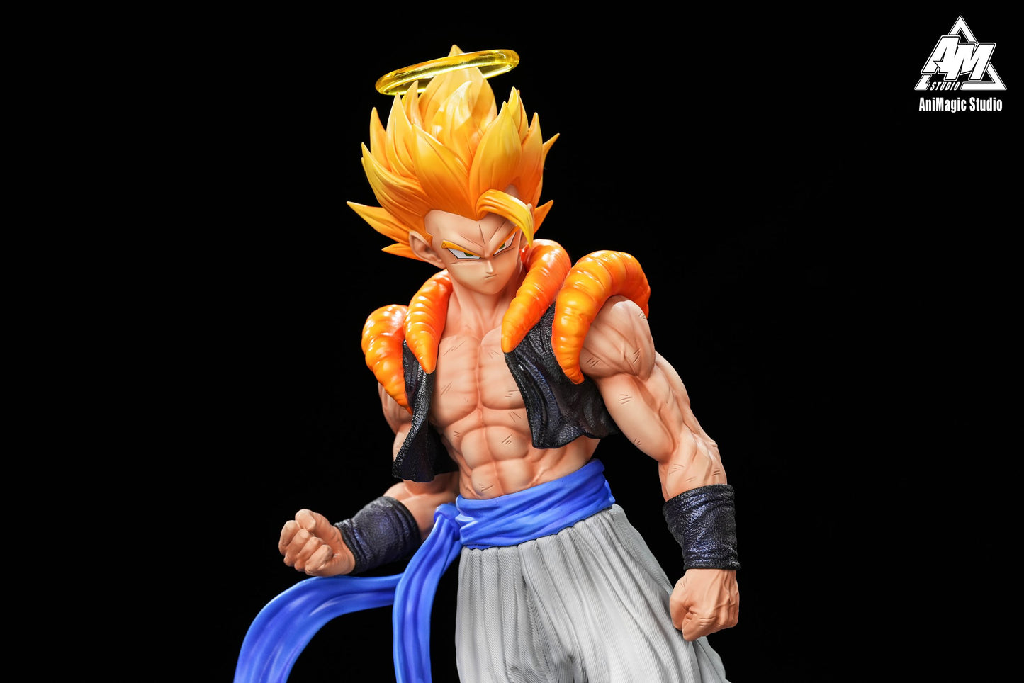 Animagic - Gogeta