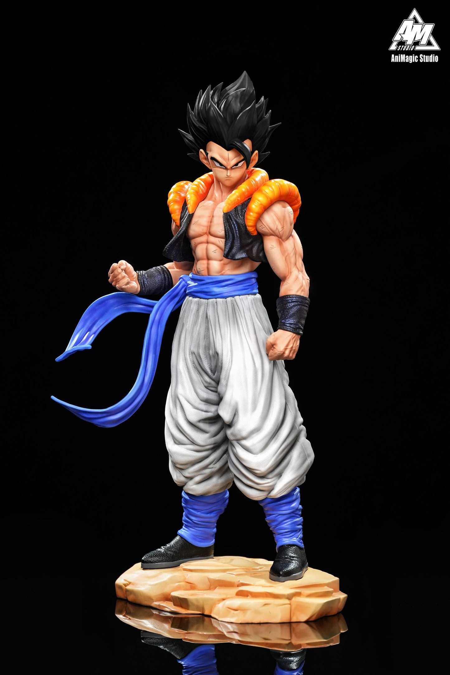 Animagic - Gogeta