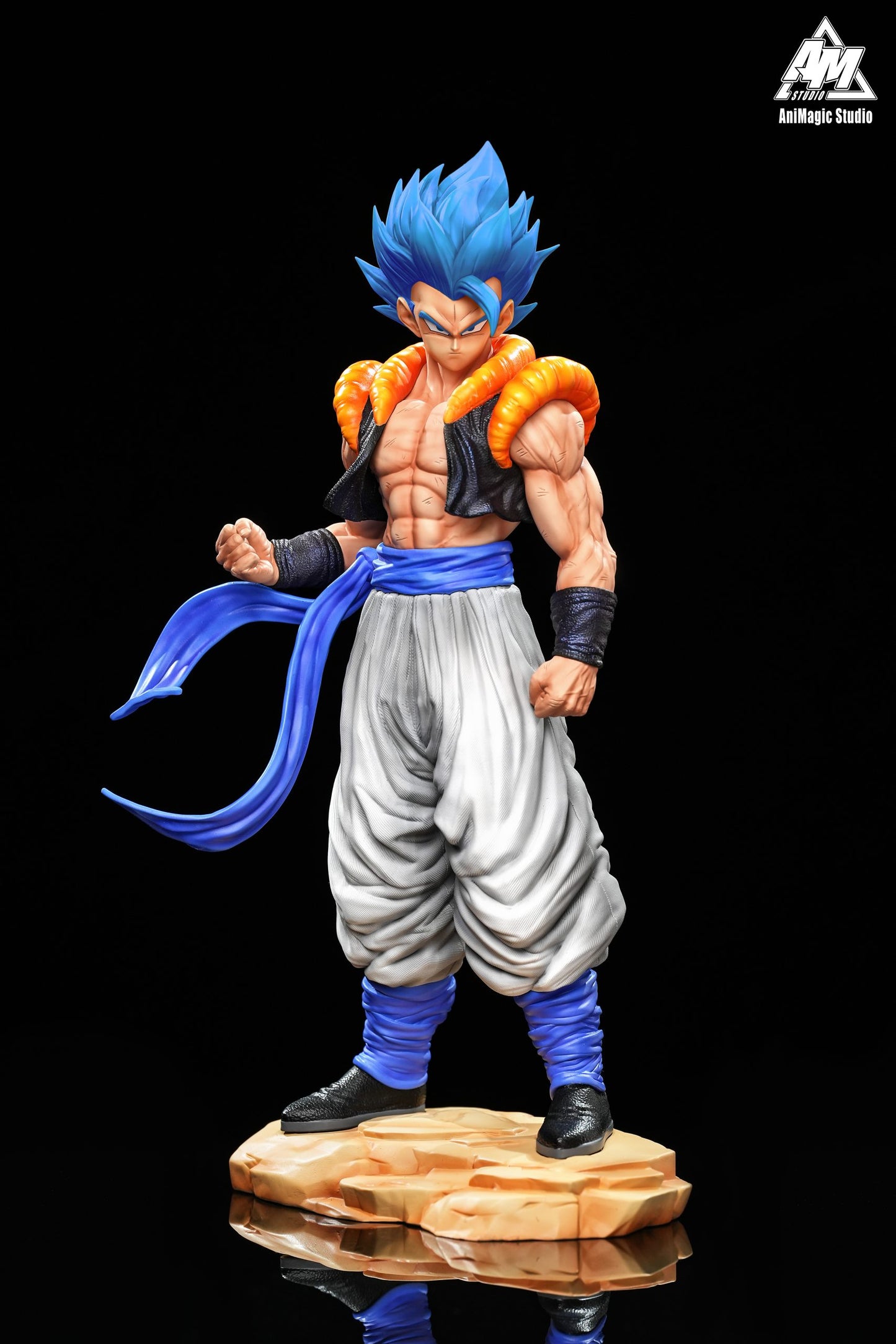 Animagic - Gogeta