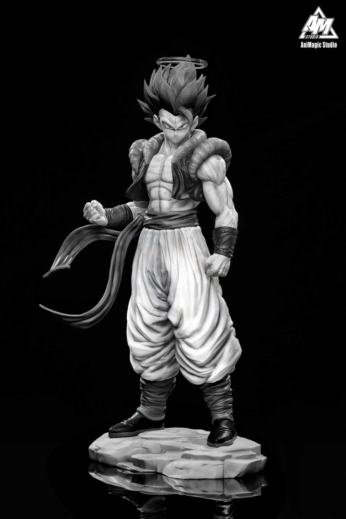 Animagic - Gogeta