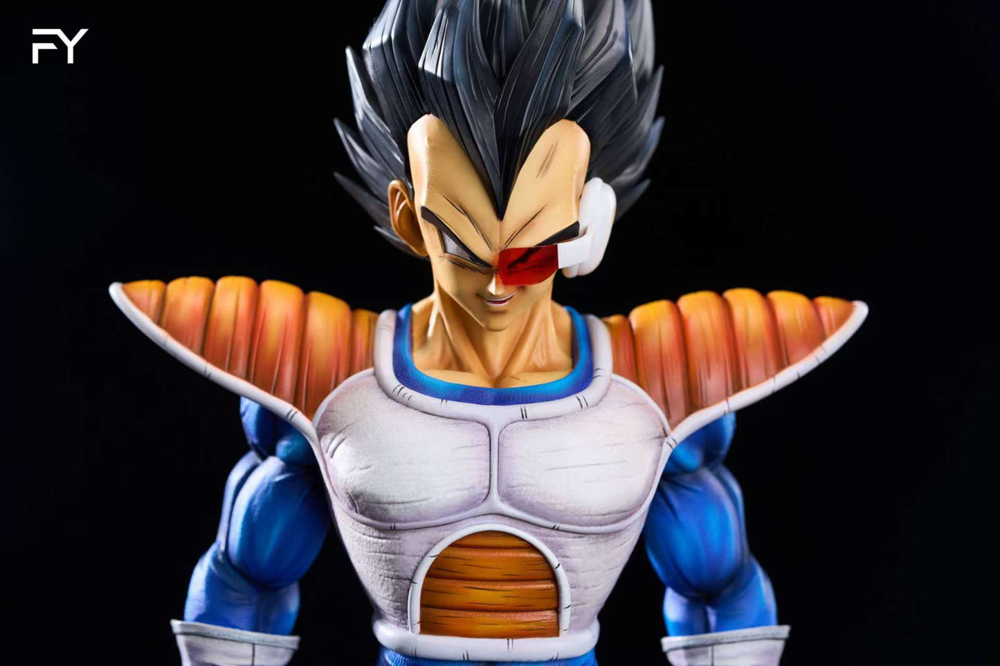 FY - Vegeta