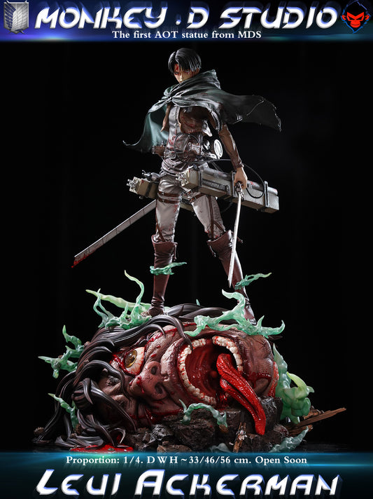 Monkey D - Levi