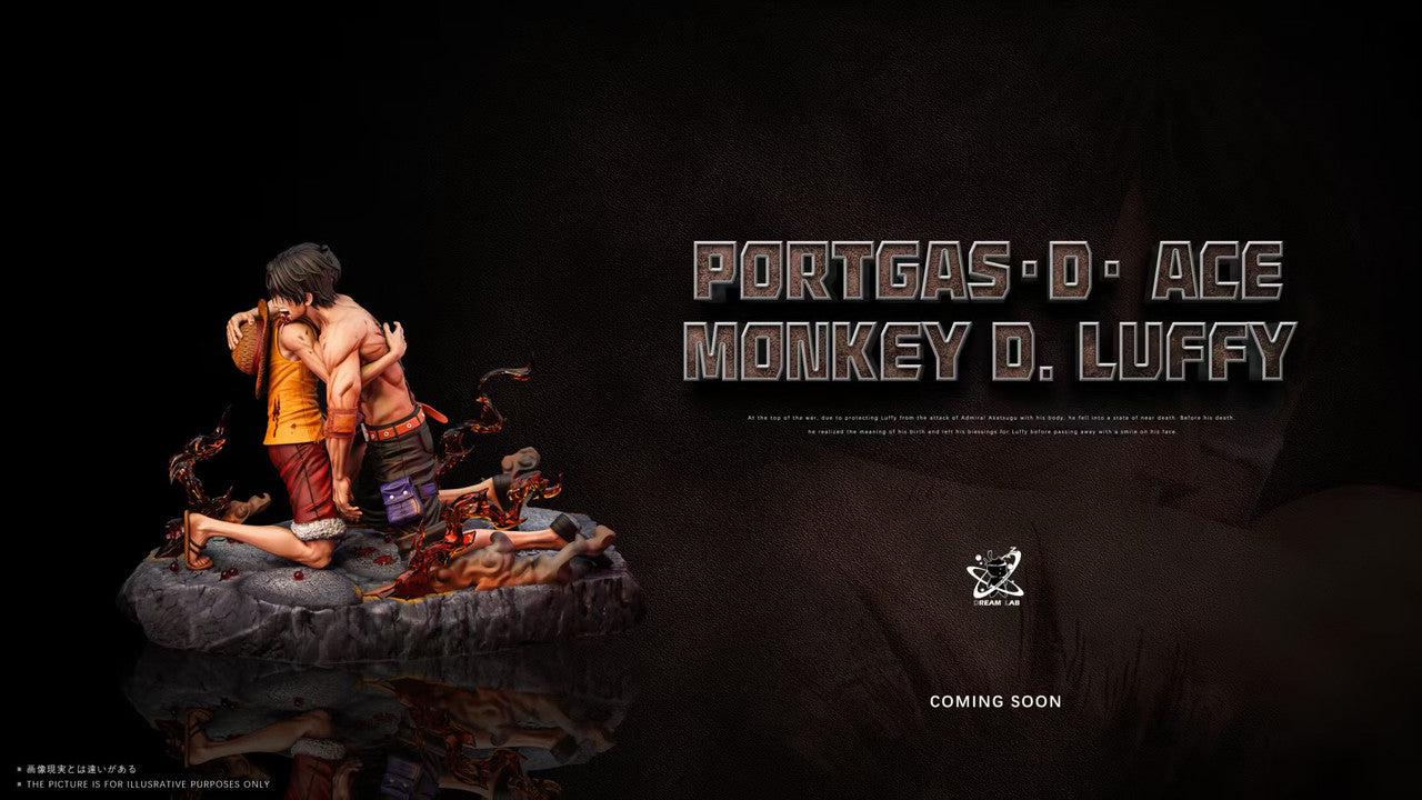 Dream Lab - Luffy and Ace