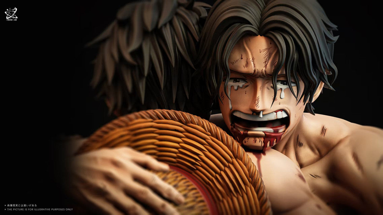 Dream Lab - Luffy and Ace