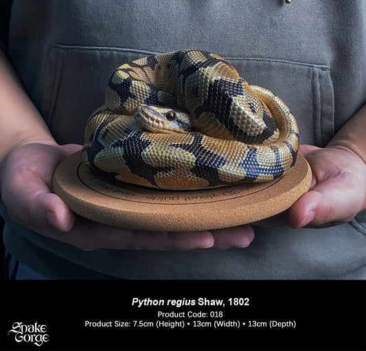 Snake Gorge - Ball python