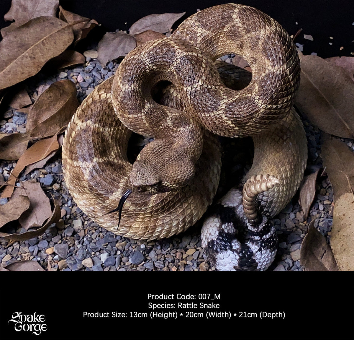 Crotalus Rosa Snake Gorge - Crotalus atrox – StatueCorp