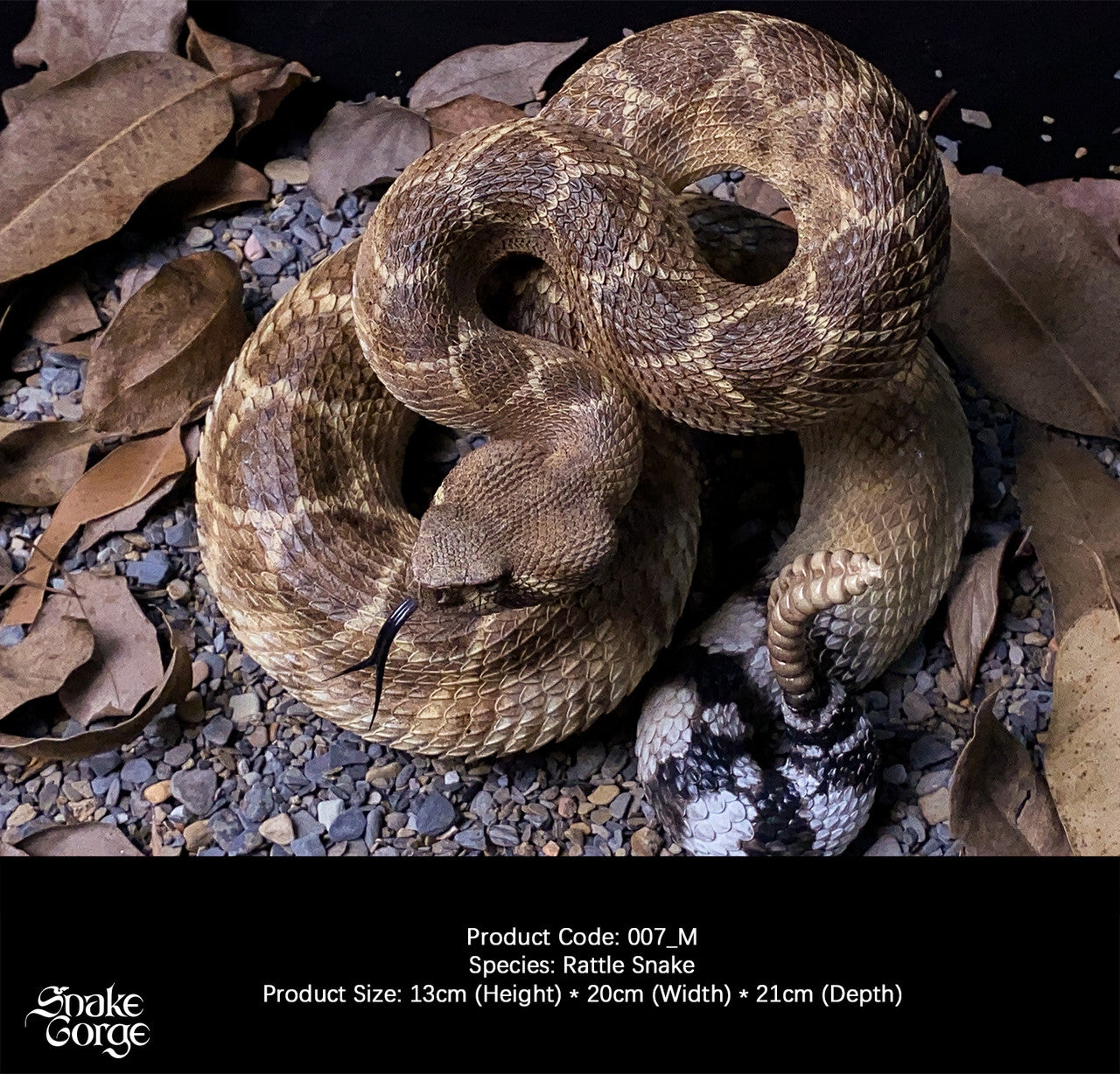Snake Gorge - Crotalus atrox