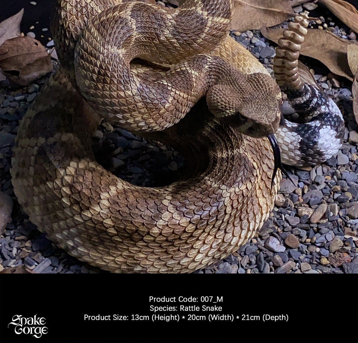 Crotalus Rosa Snake Gorge - Crotalus atrox – StatueCorp
