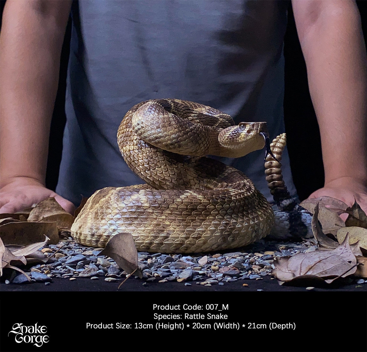 Snake Gorge - Crotalus atrox