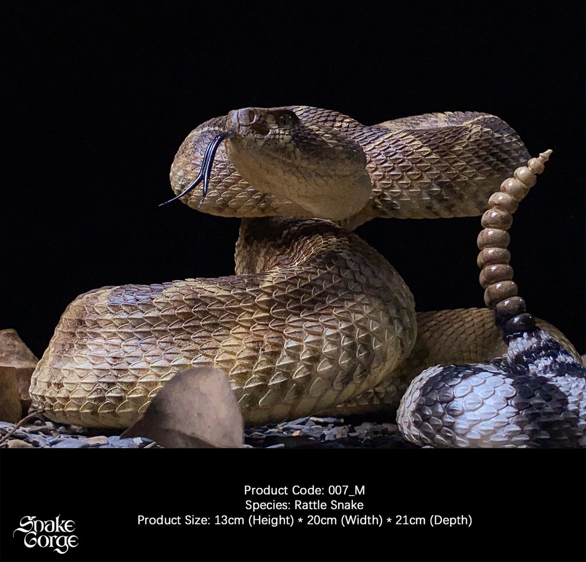 Crotalus Rosa Snake Gorge - Crotalus atrox – StatueCorp