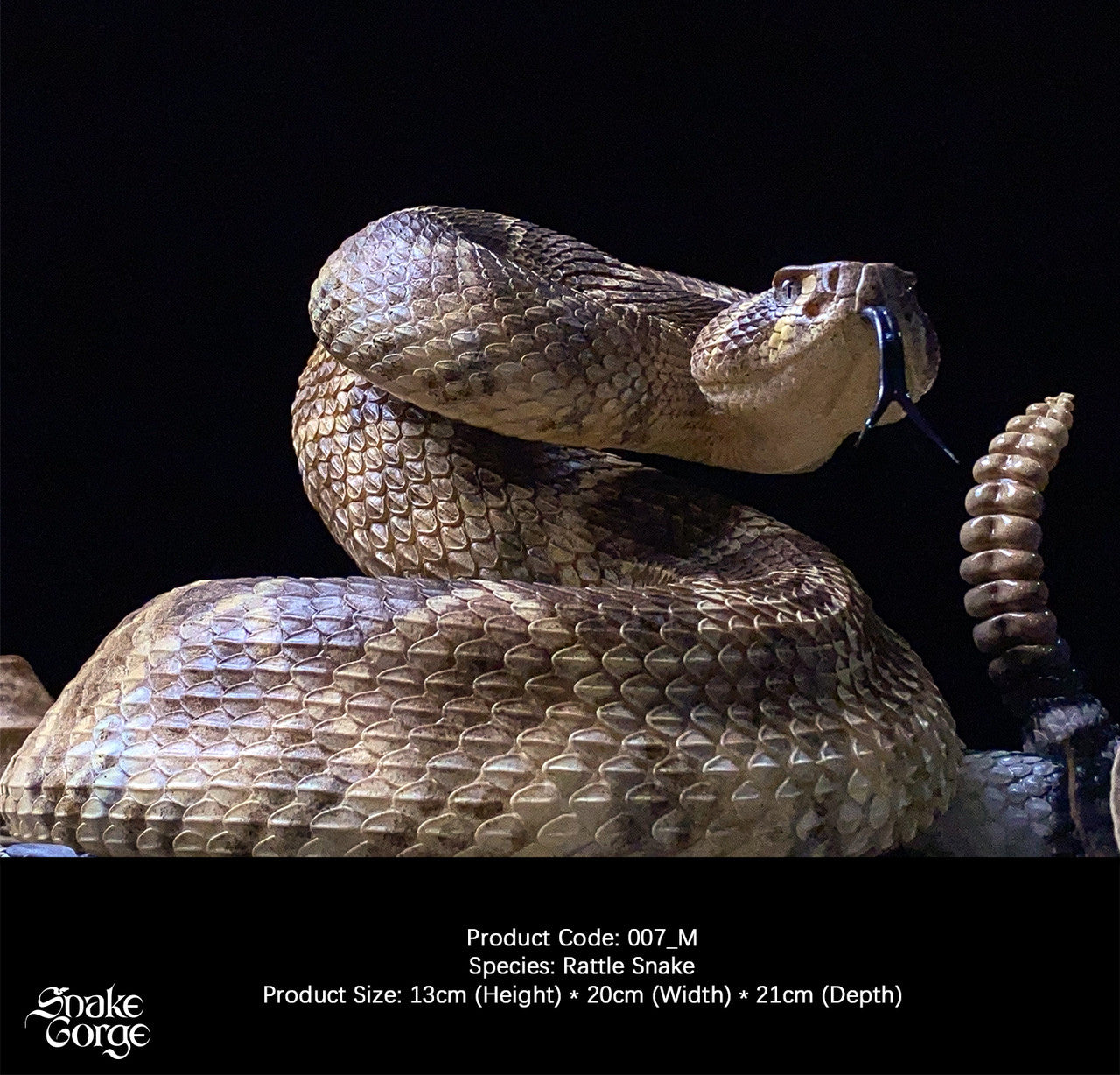 Snake Gorge - Crotalus atrox
