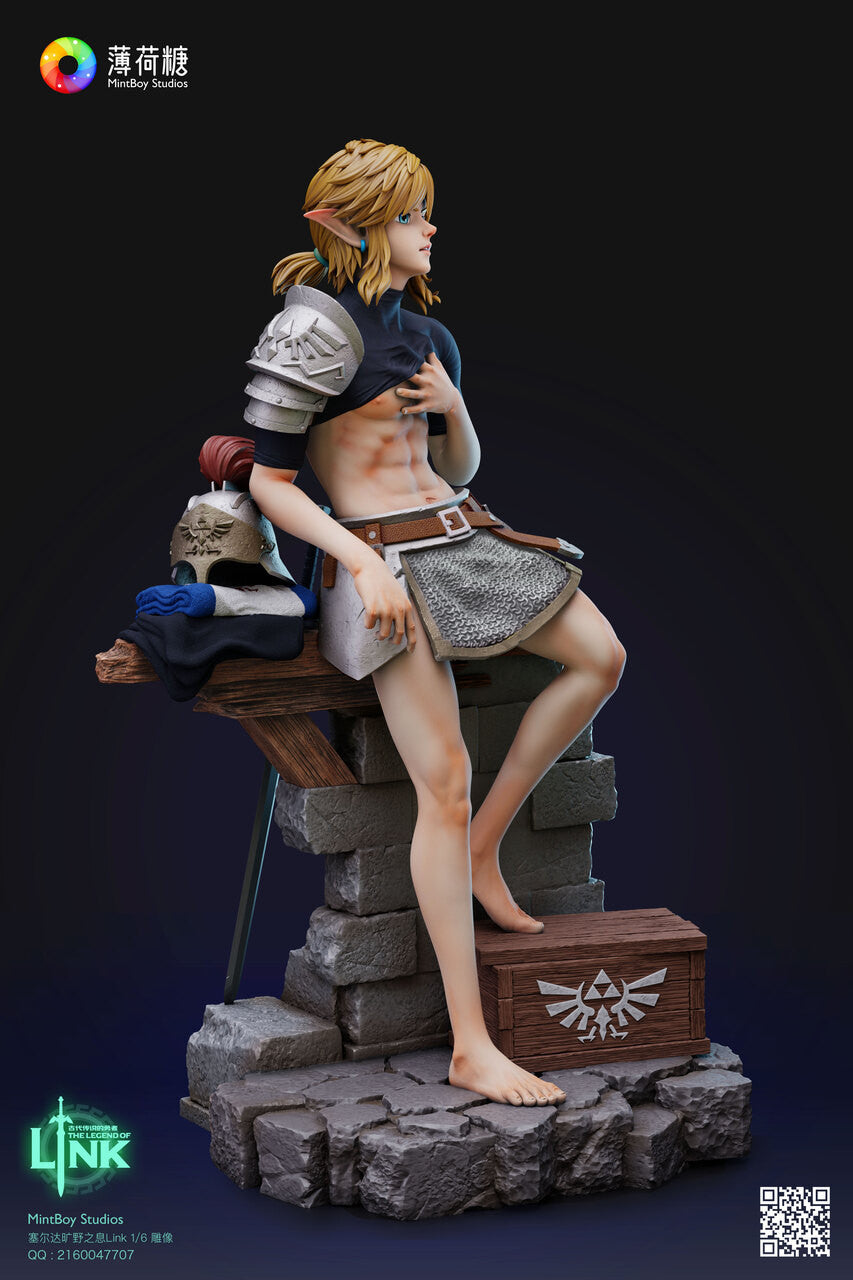 Mintboy - Link - The Legend of Zelda