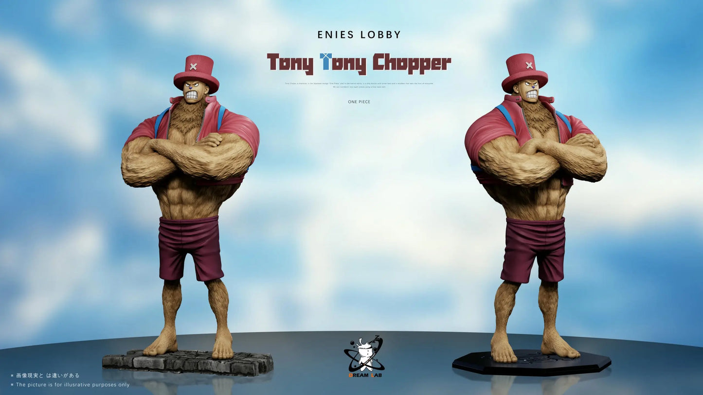 Dream Lab - Sanji and Chopper