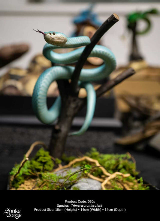 Snake Gorge - Blue Trimeresurus insularis