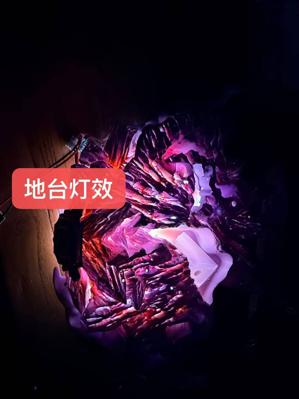 Rhinoceros - Kyoya Hibari