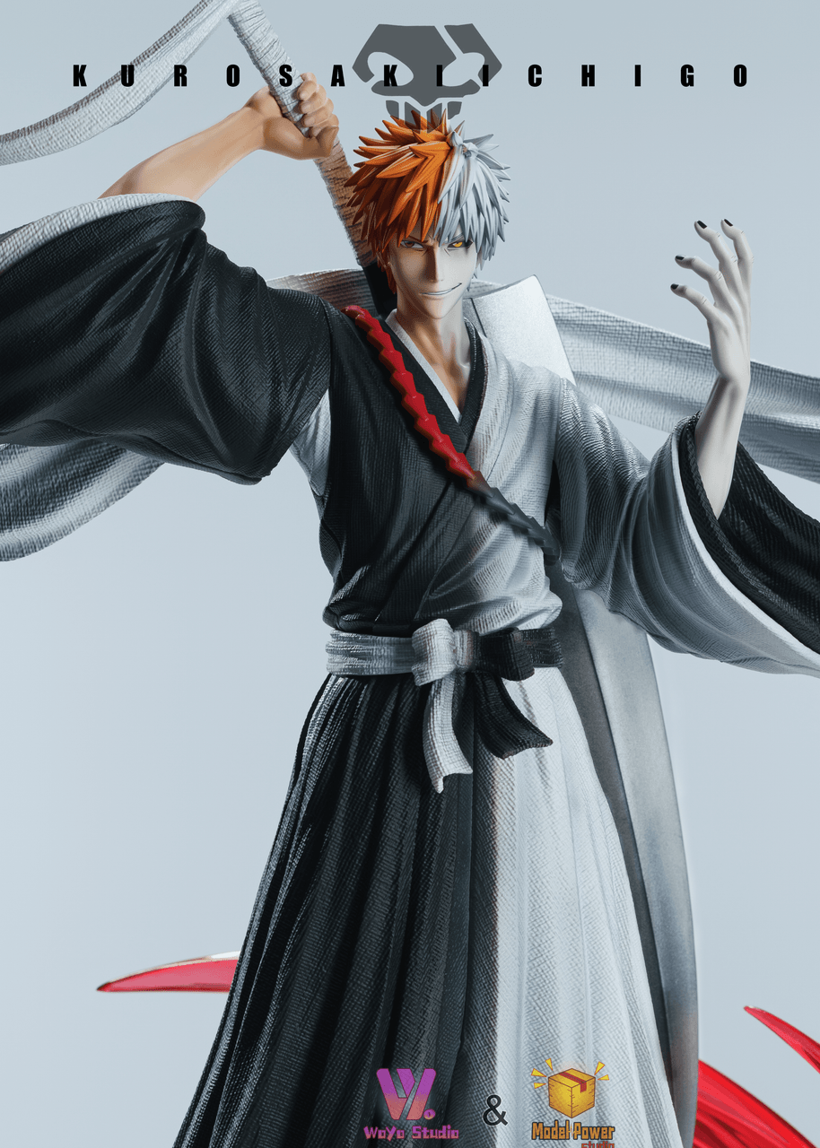 Woyo x Model Power - Ichigo