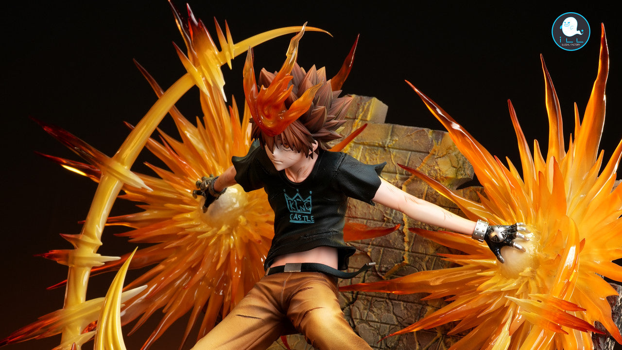 ILL - Tsunayoshi Sawada