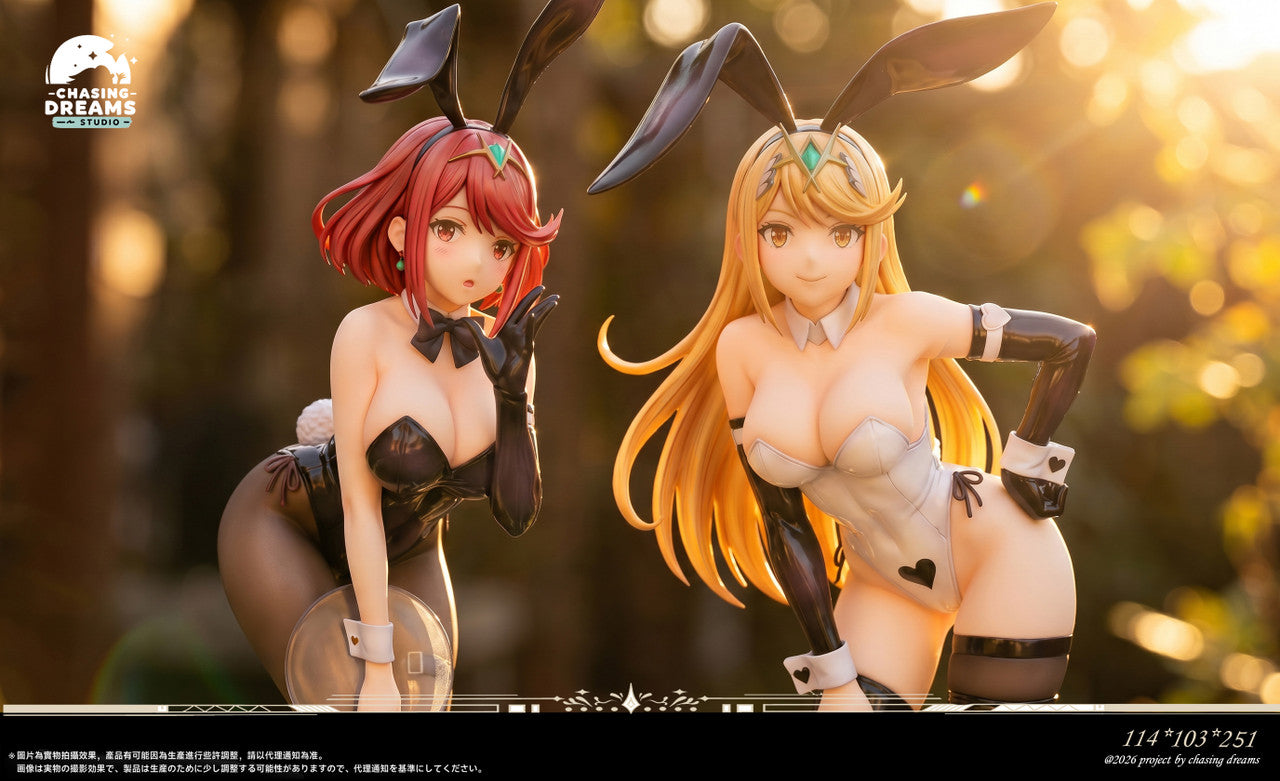 Chasing Dreams - Mythra and Pyra