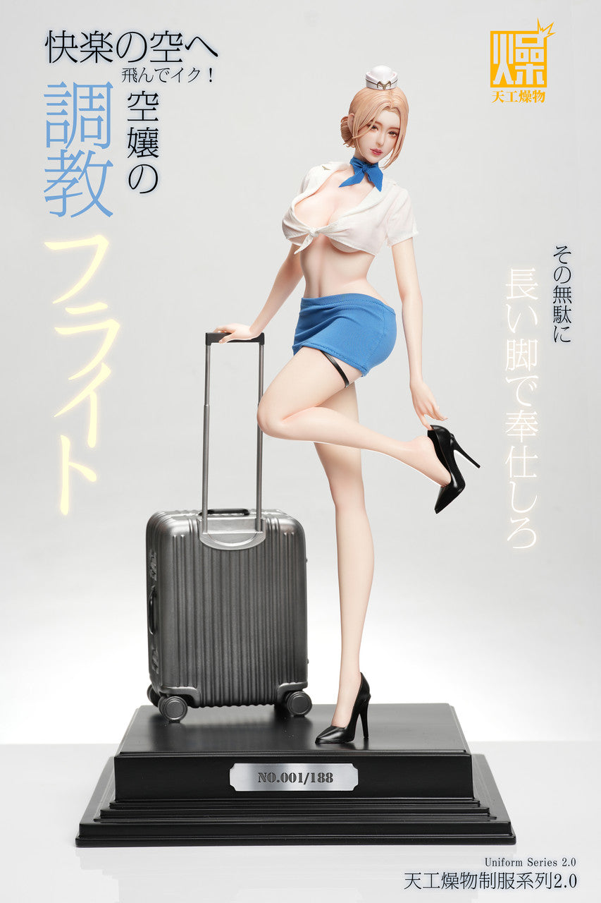 TGZW - Flight Attendant