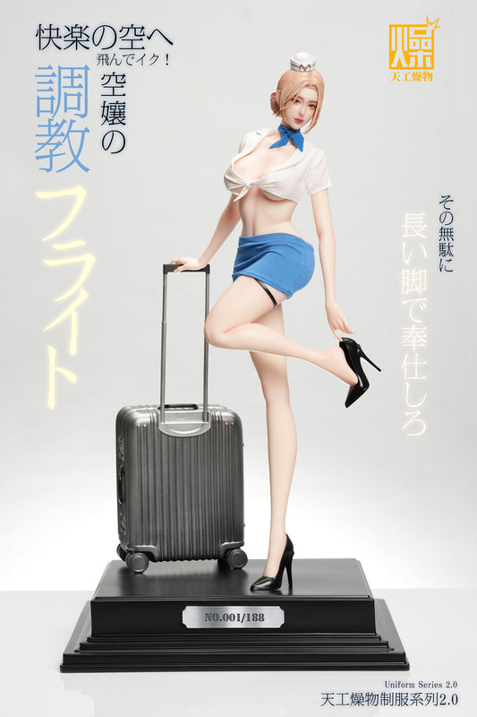 TGZW - Flight Attendant