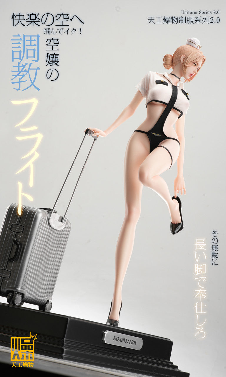 TGZW - Flight Attendant