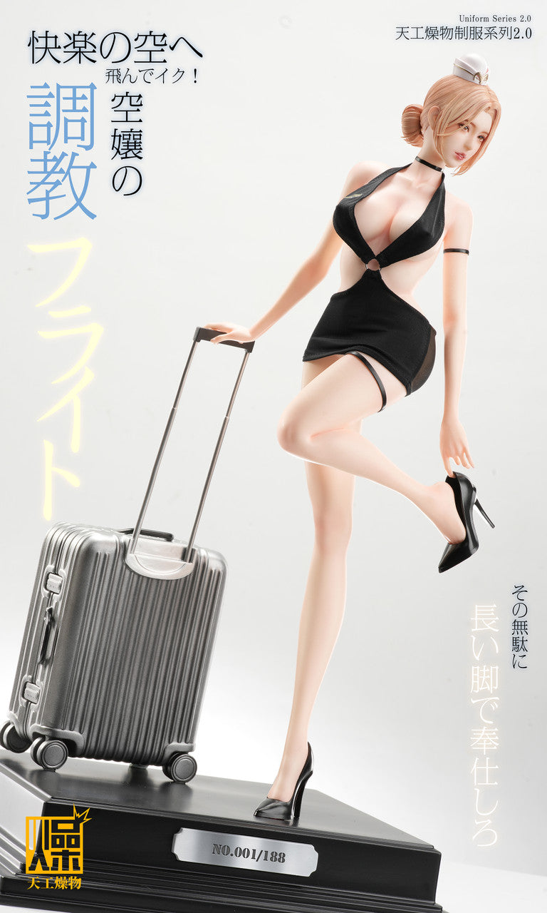 TGZW - Flight Attendant