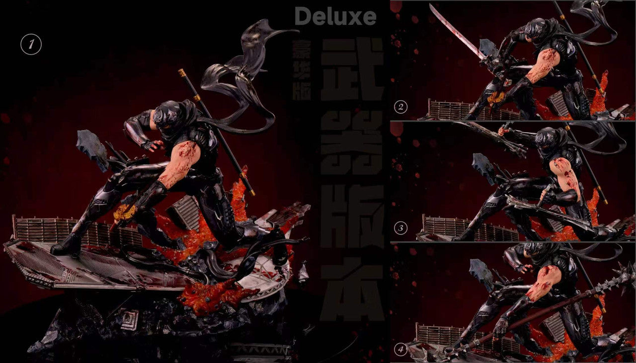 Sword and Wing - Ryu Hayabusa