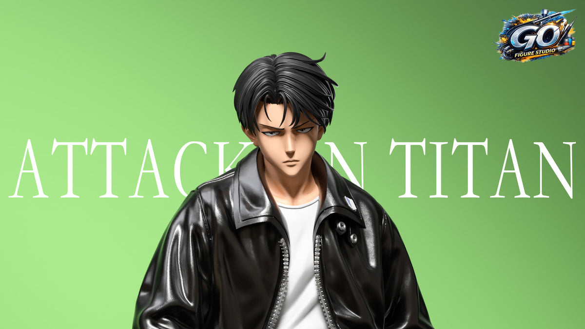 Go Figure - Levi
