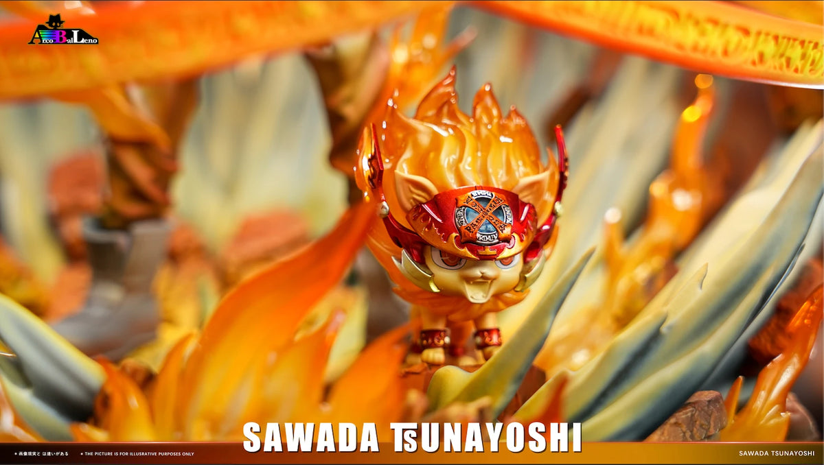 Arcobaleno - Tsunayoshi Sawada