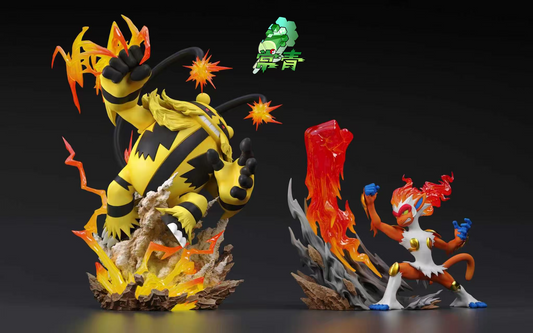 Chang Qing - Electivire and Infernape
