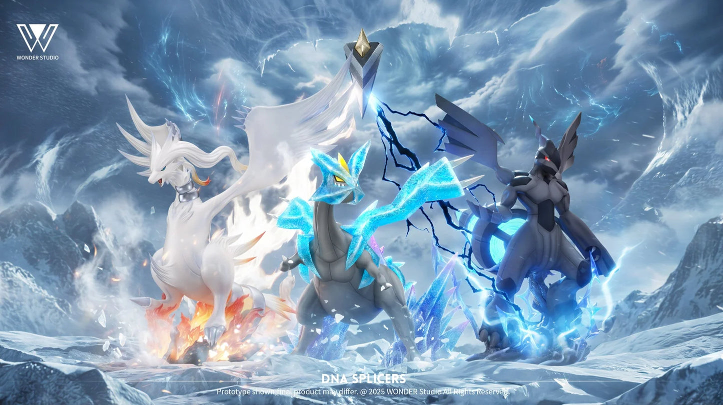 Wonder - Kyurem