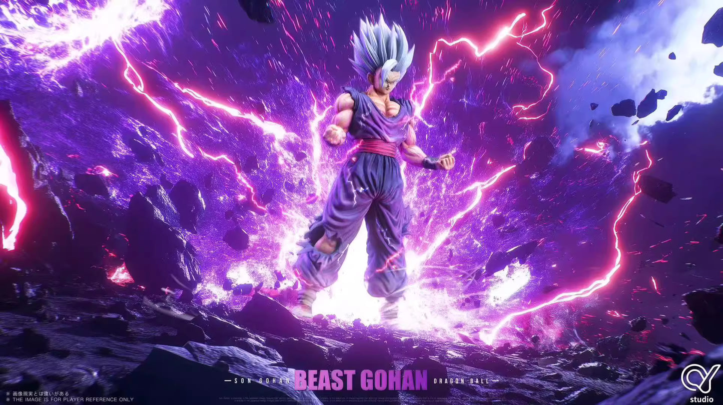 QY - Gohan Beast
