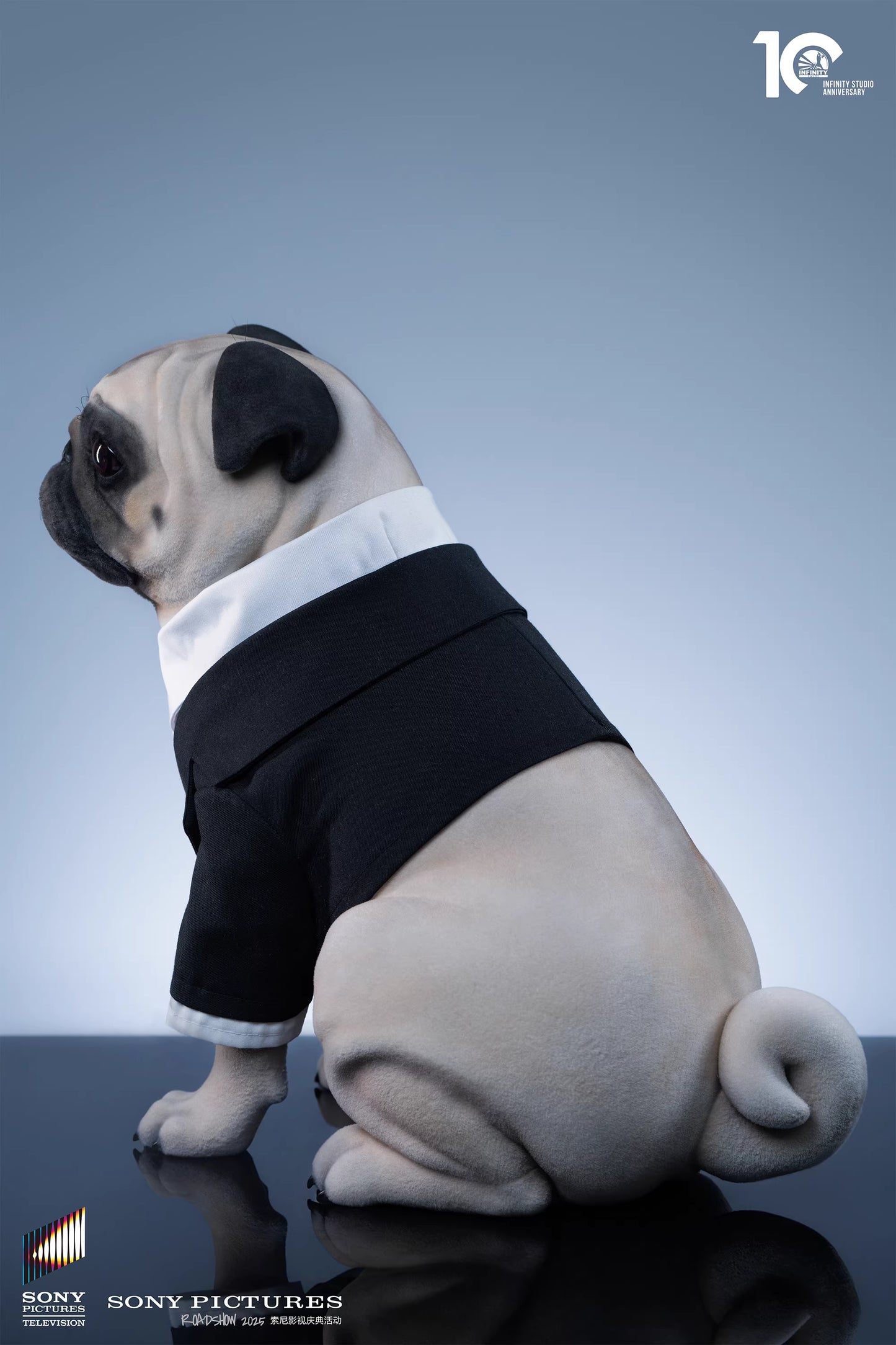 Infinity - Frank the Pug