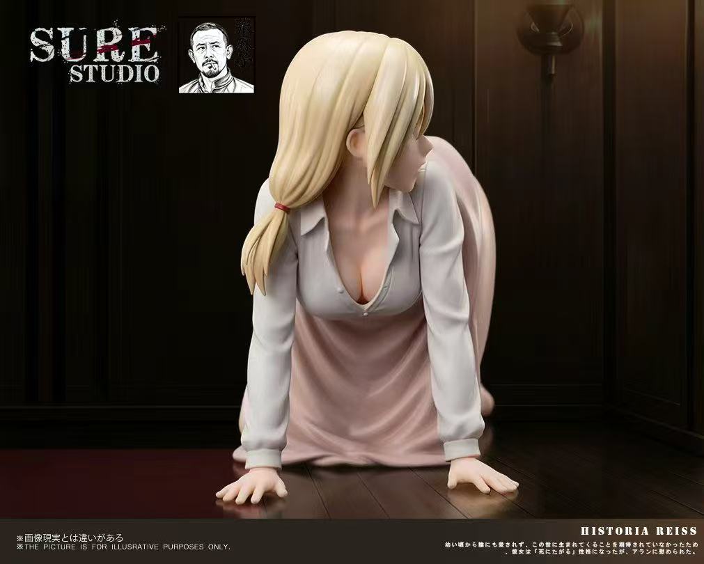 Sure - Historia