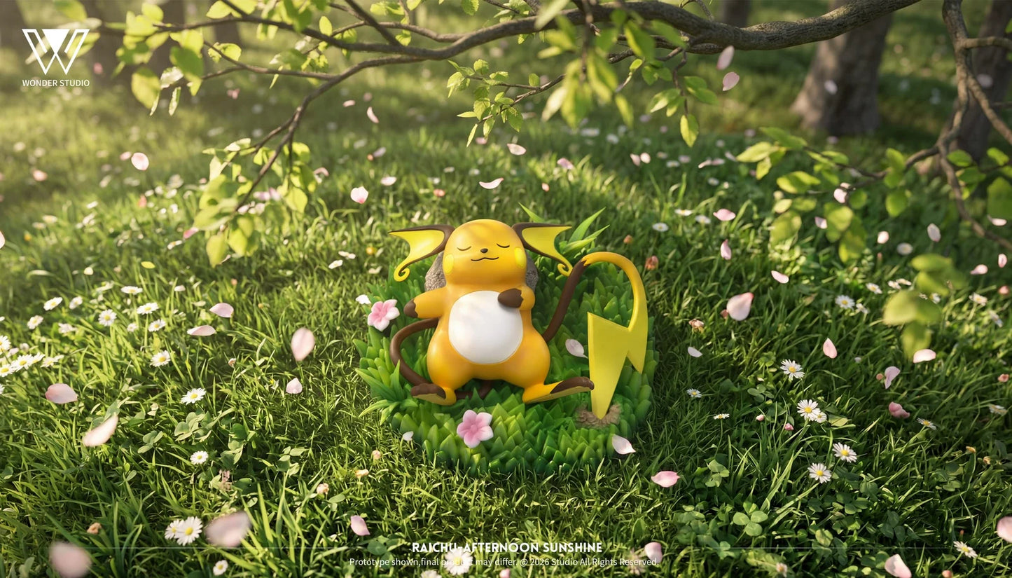 Wonder - Jigglypuff, Wigglytuff and Raichu