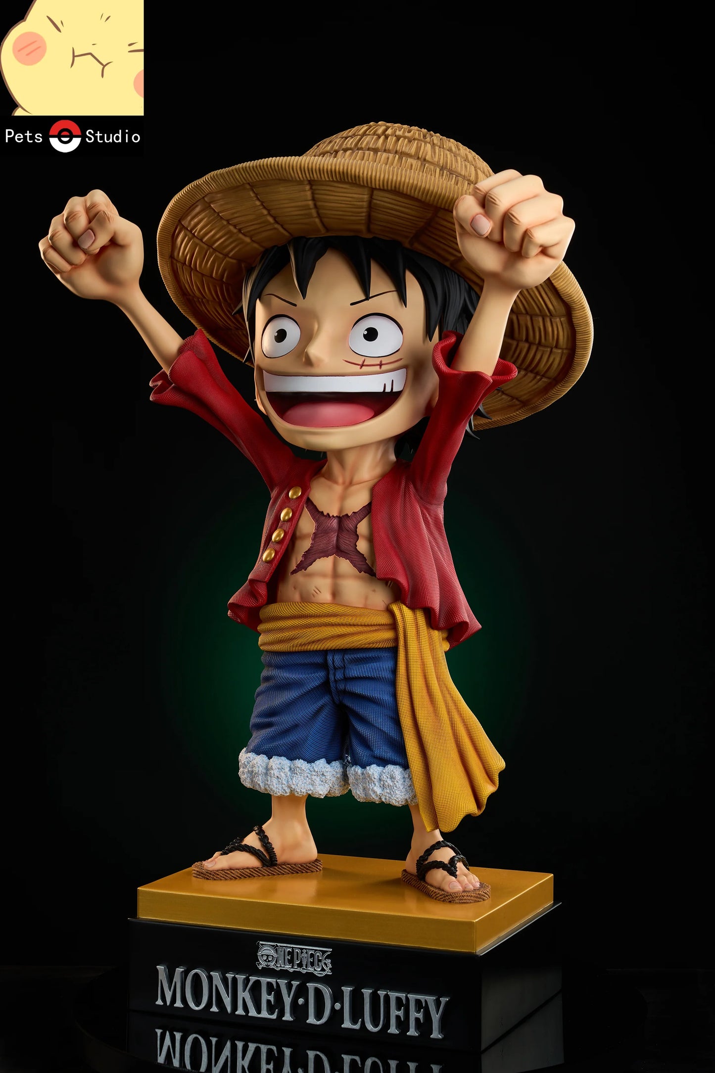 Pets - Luffy