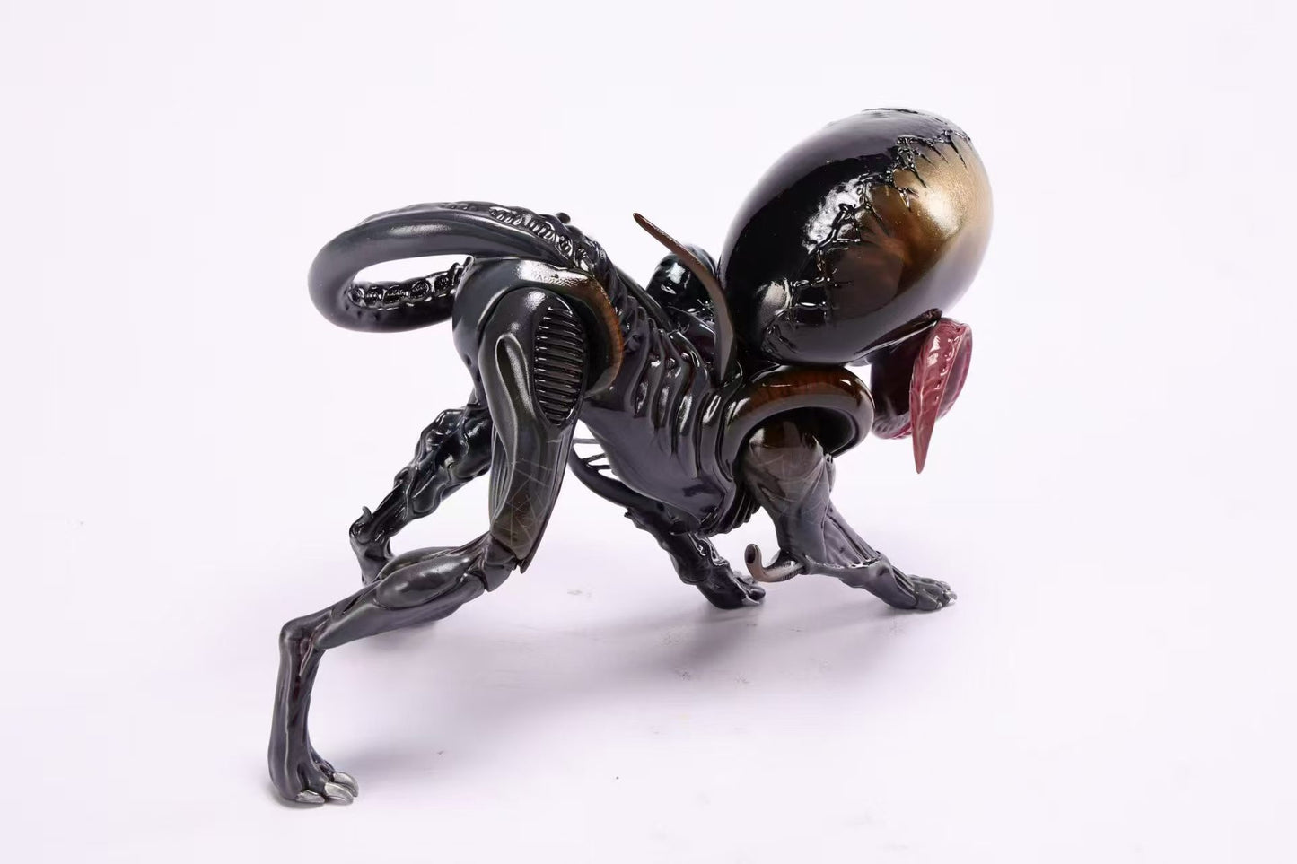 Toothfairy - Parasite King