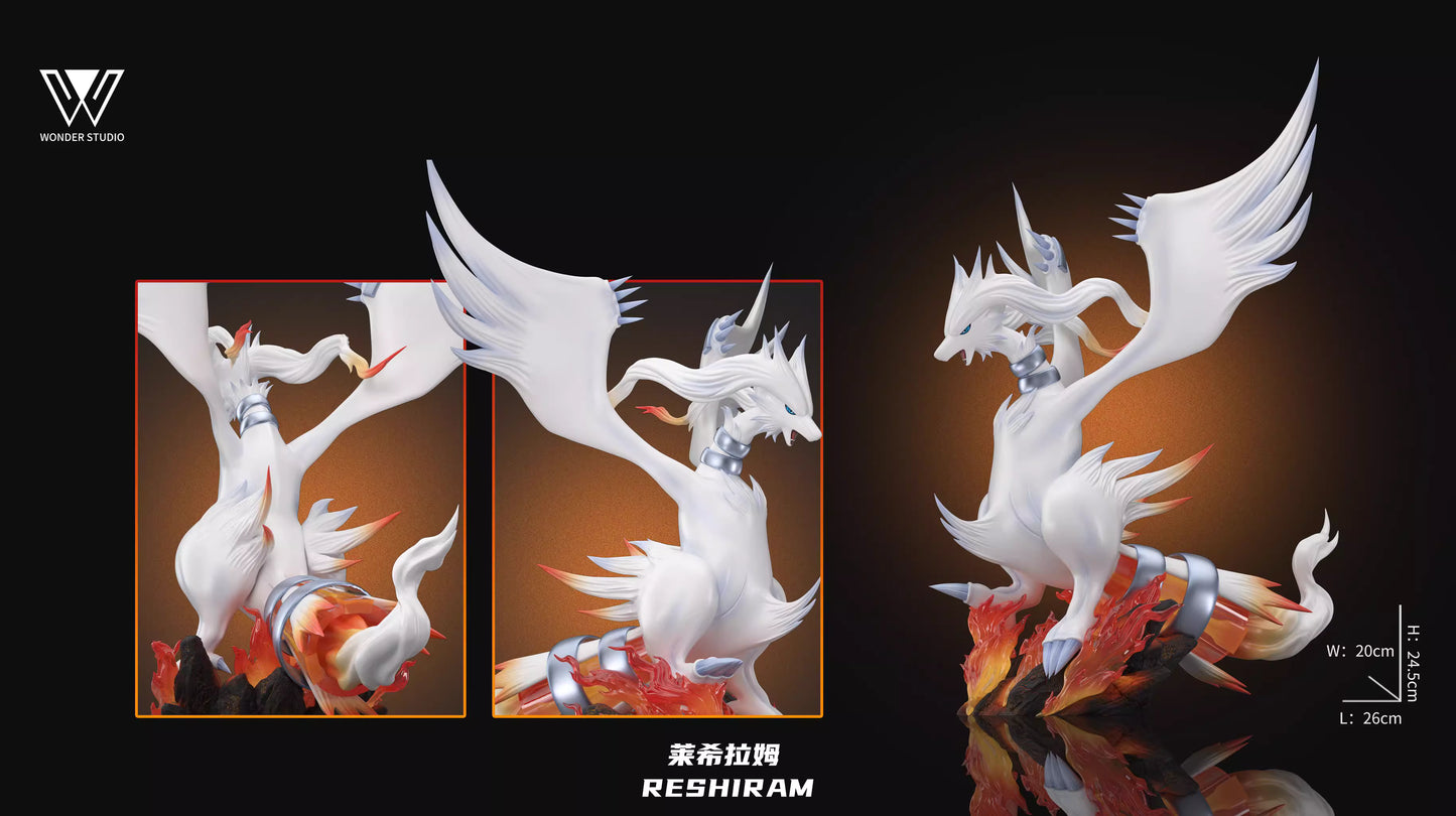 Wonder - Zekrom and Reshiram